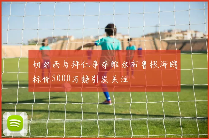 切尔西与拜仁争夺维尔布鲁根海鸥标价5000万镑引发关注