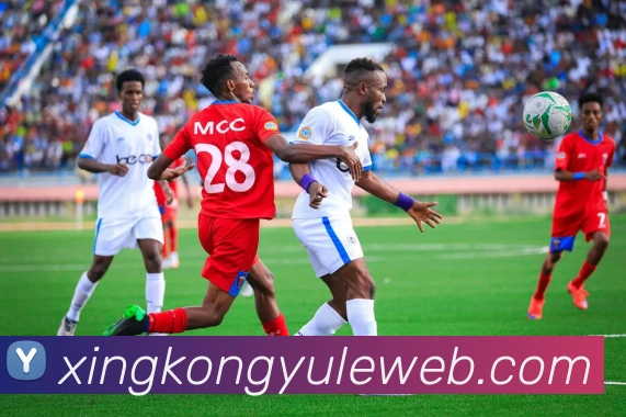 星空娱乐APP 封面图