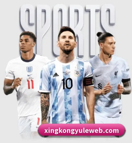 五大服务分区,信息按项目分类 | xingkong